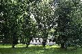 [ pilt: 123  X    IMG_4343.JPG ]